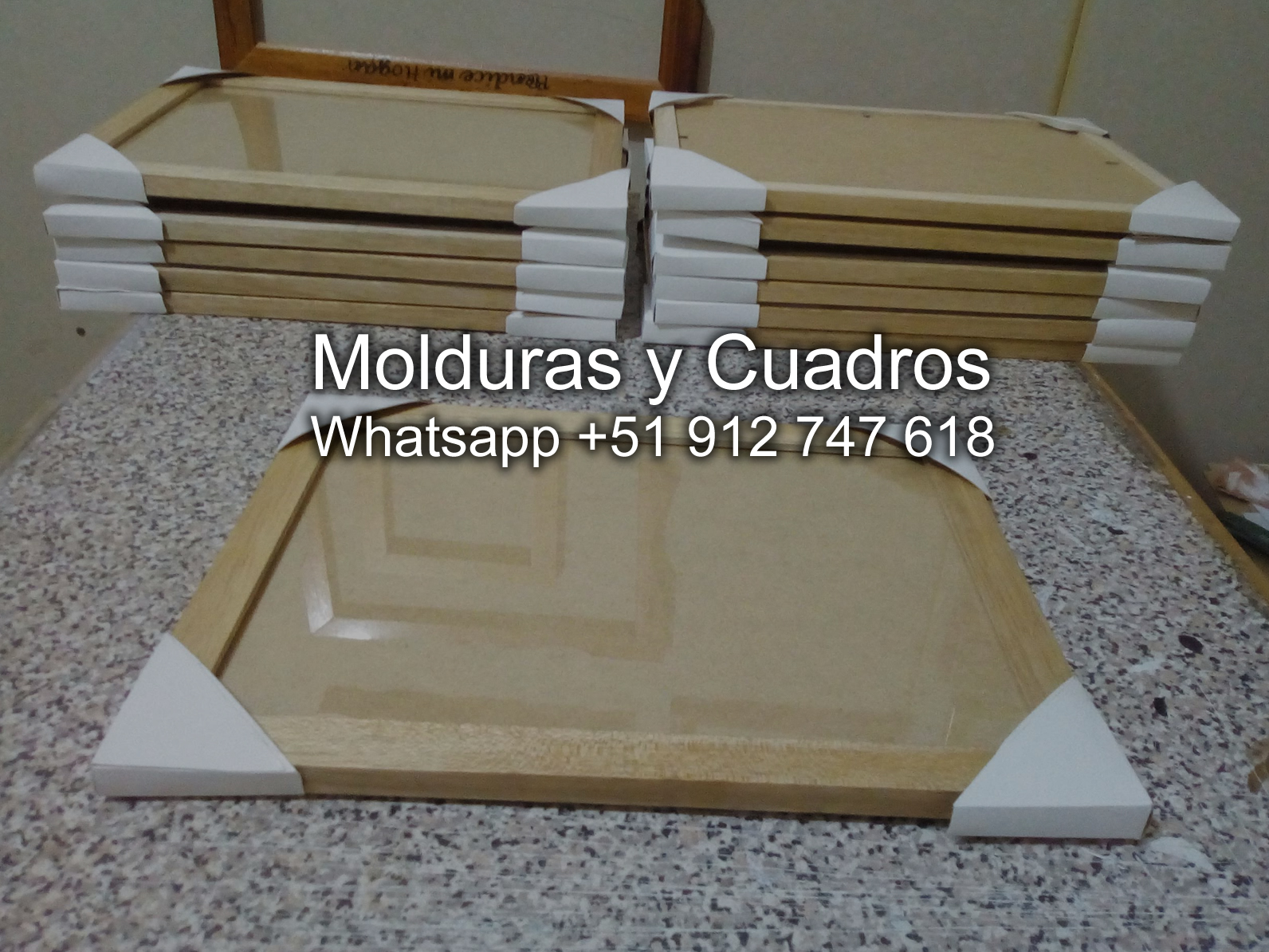 moldura palmera para cuadro 
